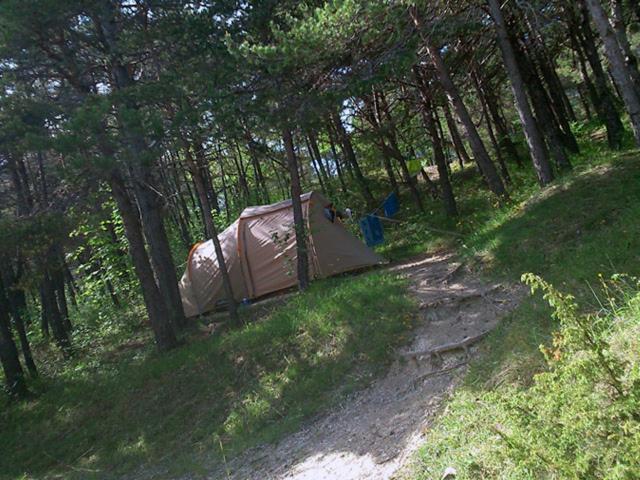 Camping La Chabannerie Hotel Saint-Martin-de-Clelles Exterior photo
